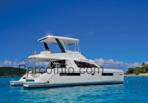 Leopard 43 Power Cat ficha técnica y opiniones